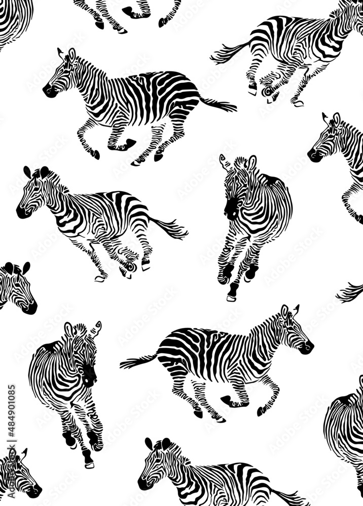 zebra illustration pattern - obrazy, fototapety, plakaty 