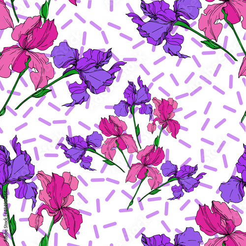 vector iris floral botanical flowers