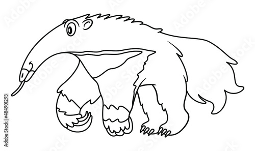 Line art illustration of giant anteater showing his tongue. Blank uncolored image on white background for children and kids coloring book or pages. For biology lessons and other educational material. photo