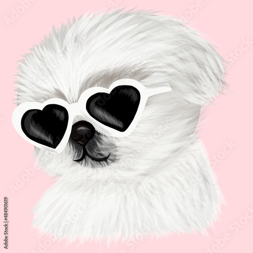 Realistic white dog Spitz with glasses. Vector cute white eskimo spitz Samoyed puppy head portrait. Realistic fur portrait