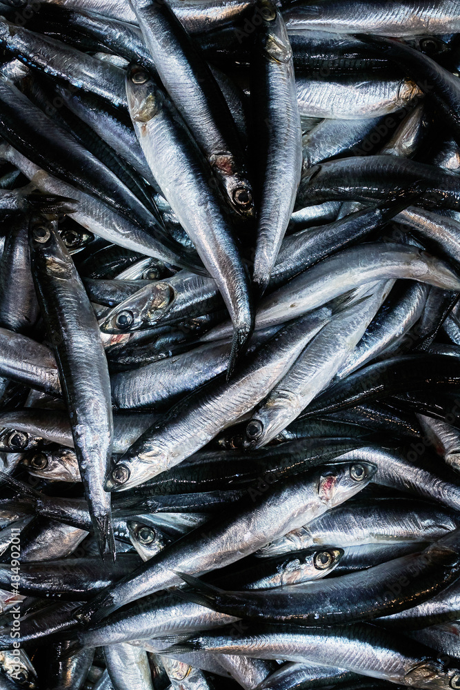 Fototapeta premium a lot of fresh fish lies on the counter
