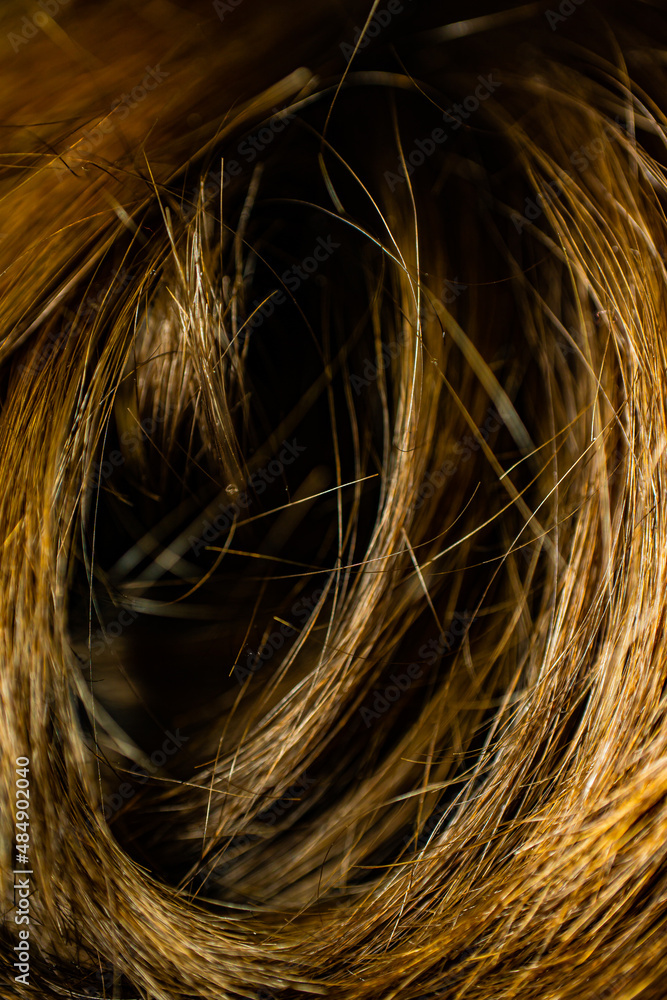 Fototapeta premium tunel włosów