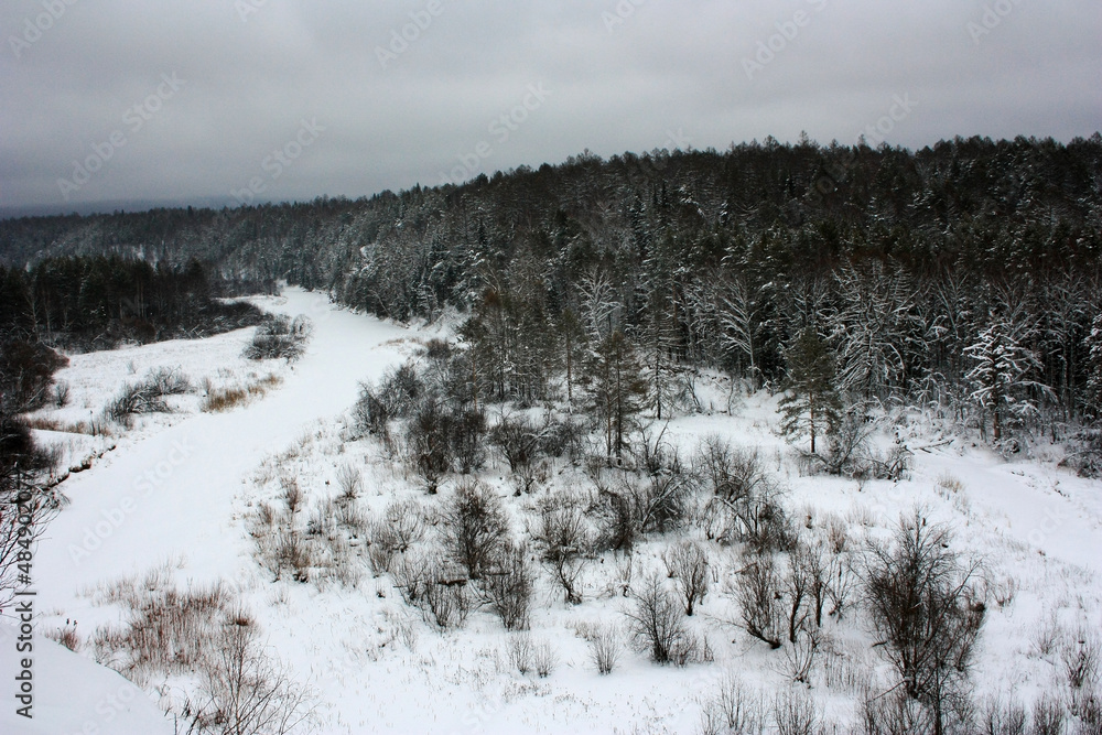 Winter forest covered with snow Winter forest covered with snow