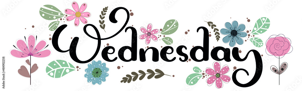 Wednesday Day Week Spanish Hand Drawn Stock Vector (Royalty Free)  1138510445