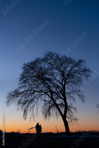 Silhouette of a couple under a tree by the partly frozen river Daugava near the Andrejosta pier in Riga, Latvia during sunset