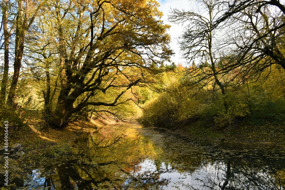 Small lake at Rakov Skocjan in Notranjska, Slovenia in autumn Small lake at Rakov Skocjan in Notranjska, Slovenia in autumn