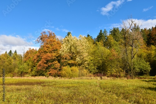 Meadow with a colorful autumn forest at Rakov Skocjan, Notranjska, Slovenia