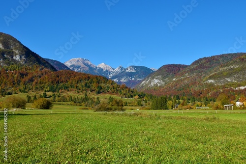View of Tosc, Ablanca and Draski vrh mountain peaks in Julian alps and Triglav national park, Slovenia in autumn with the hills covered in red colored forest and a meadow in front