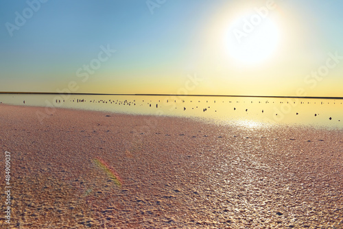 Pink salt Salt lake with mirror water at sunset. Calm evening view on the salt lake.