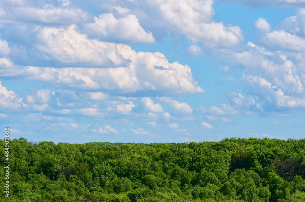 Blue sky with clouds over green forest. Blue sky with clouds over green forest.