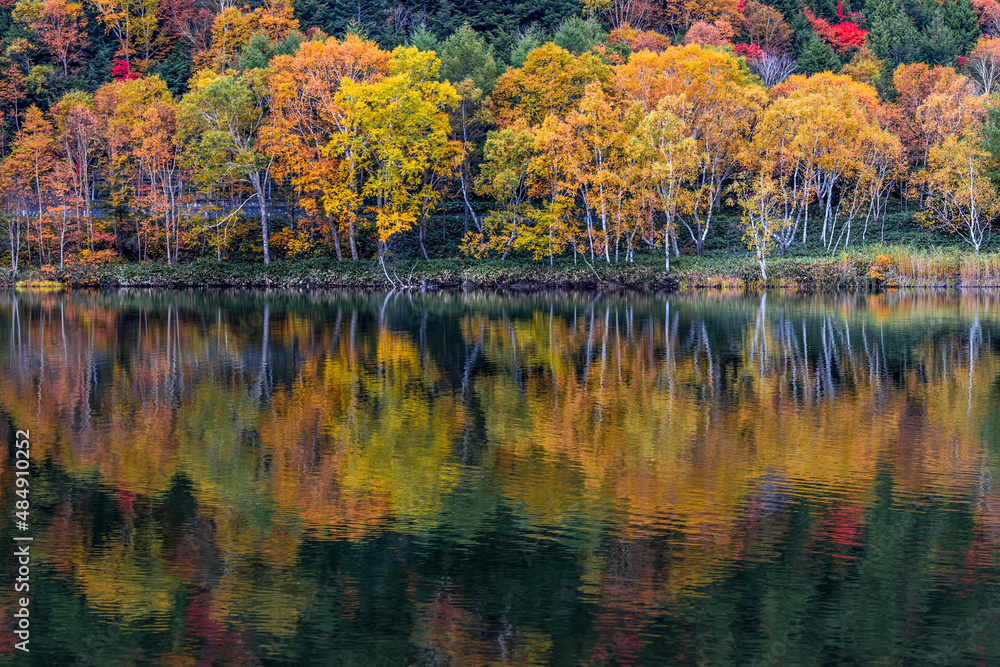 Obraz premium 湖面の中の秋