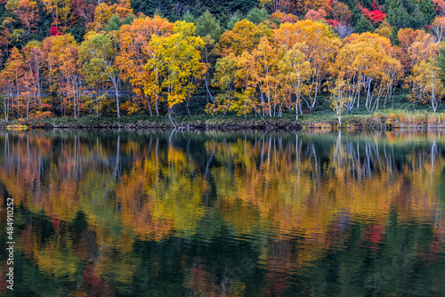 湖面の中の秋