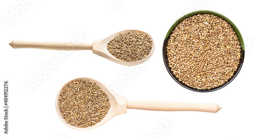 Εκτύπωση καμβά set of various barnyard millet seeds isolated