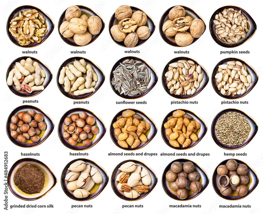 set of various nuts with names in ceramic bowls set of various nuts with names in ceramic bowls