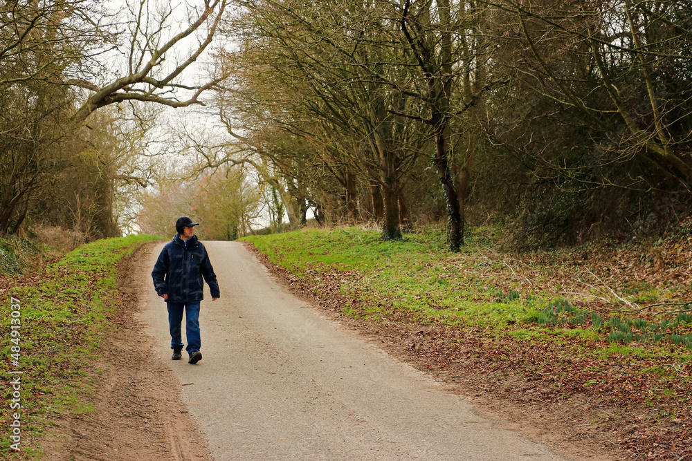 Fototapeta premium Man walking down a narrow country road with trees on a cold day in winter. Senior man is taking healthy exercise down a single track road with a slope, beautiful rural area and landscape