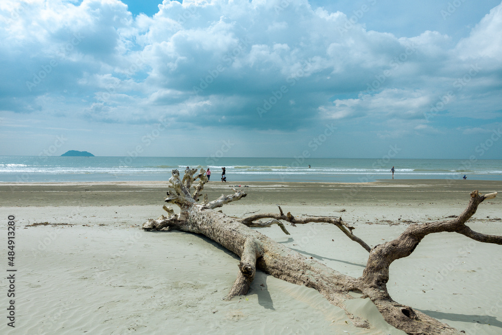 Beautiful black and white beach surface with death tree on ground that stretches in the midst of nature in Laem Son national Park, Ranong, Thailand. Beautiful black and white beach surface with death tree on ground that stretches in the midst of nature in Laem Son national Park, Ranong, Thailand.