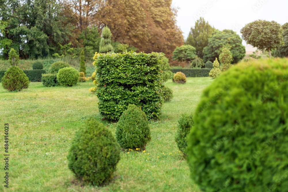 Park with shrubs and green lawns, landscape design. Topiary, green decor in the park. Park with shrubs and green lawns, landscape design. Topiary, green decor in the park.