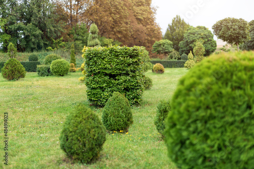 Park with shrubs and green lawns, landscape design. Topiary, green decor in the park.