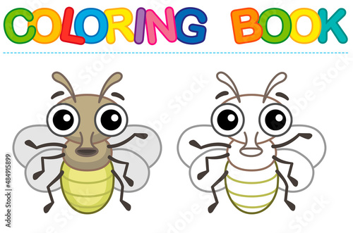 Vector coloring Insect for children coloring book. Funny fly in a cartoon style