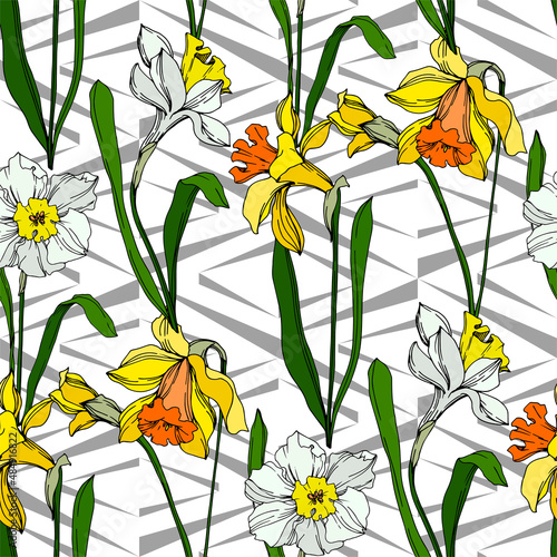 Vector Narcissus floral botanical flower. Black and white engraved ink art. Seamless background pattern.