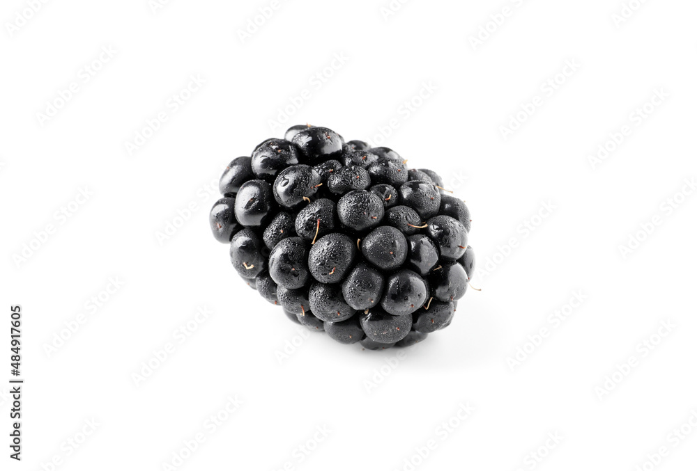 fresh tasty blackberry isolated on white background fresh tasty blackberry isolated on white background