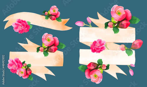Flowering quince blossom watercolor ribbons vintage banner vector