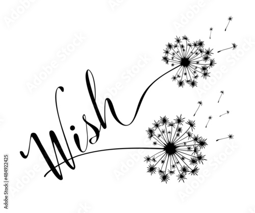 Decorative Wish Text with Dandelion Vector for Fashion, Card and Poster Prints, black and white.