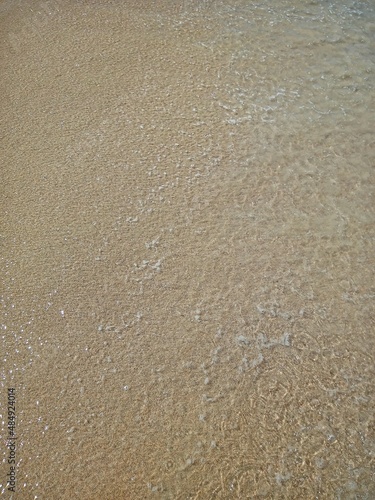 Orilla de la playa 