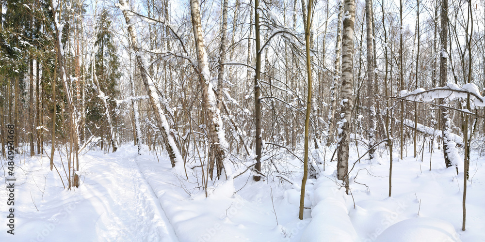 Winter walk through forests and fields, beautiful panorama. Winter walk through forests and fields, beautiful panorama.