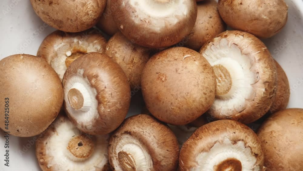 Top View Of Uncooked Fresh Raw Royal Champignon Mushrooms Rotating Close Up. Appetizing Brown Mushrooms Ready For Eating. Bowl with Edible Vegetables Cultivated Conception Top View Of Uncooked Fresh Raw Royal Champignon Mushrooms Rotating Close Up. Appetizing Brown Mushrooms Ready For Eating. Bowl with Edible Vegetables Cultivated Conception