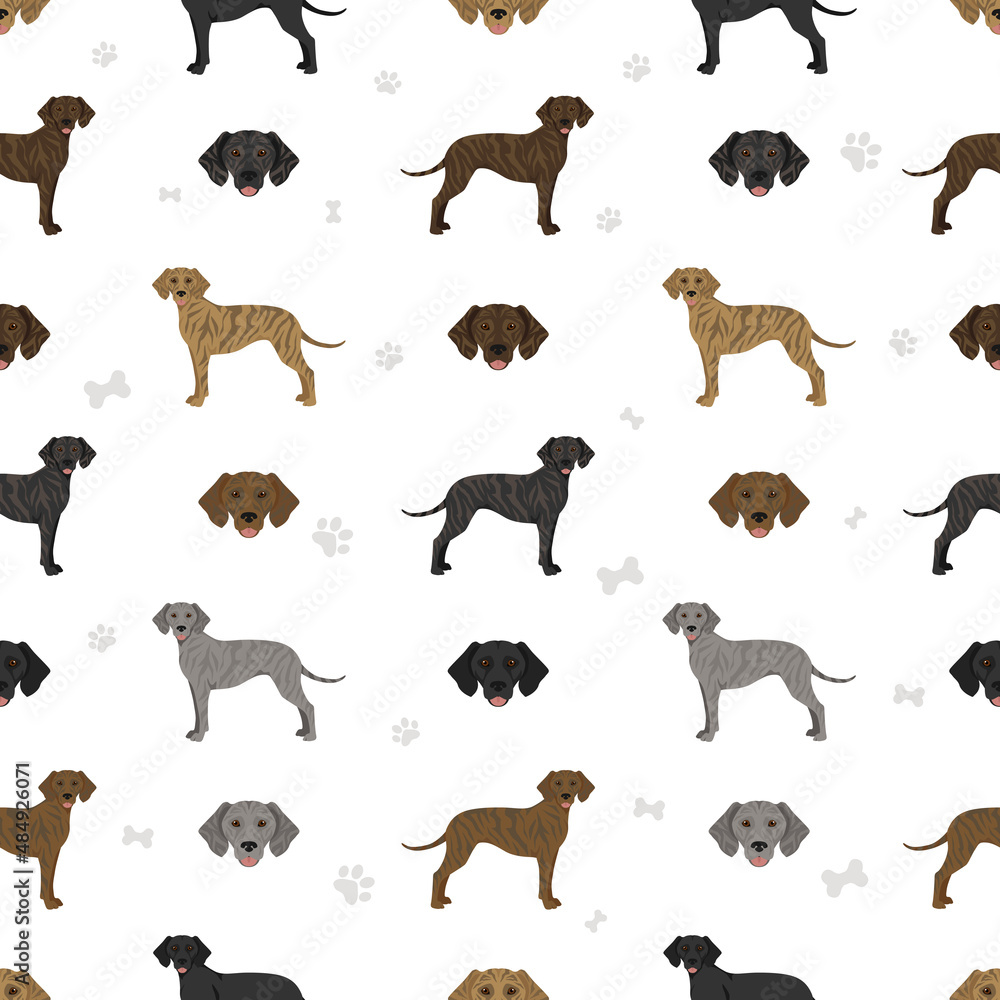 Plott hound seamless pattern. Different poses, coat colors set