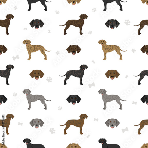 Plott hound seamless pattern. Different poses  coat colors set
