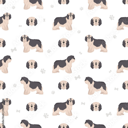 Polish lowland sheepdog seamless pattern. Different poses, coat colors set