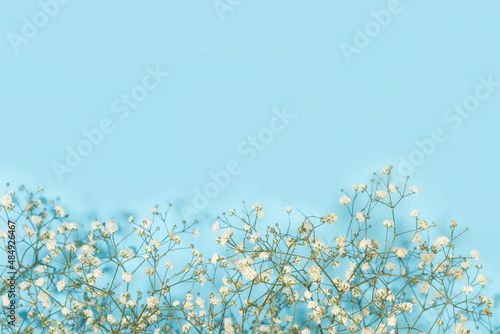 Composición con flores de gypsophila sobre un fondo celeste pastel liso y aislado. Vista superior y de cerca. Copy space