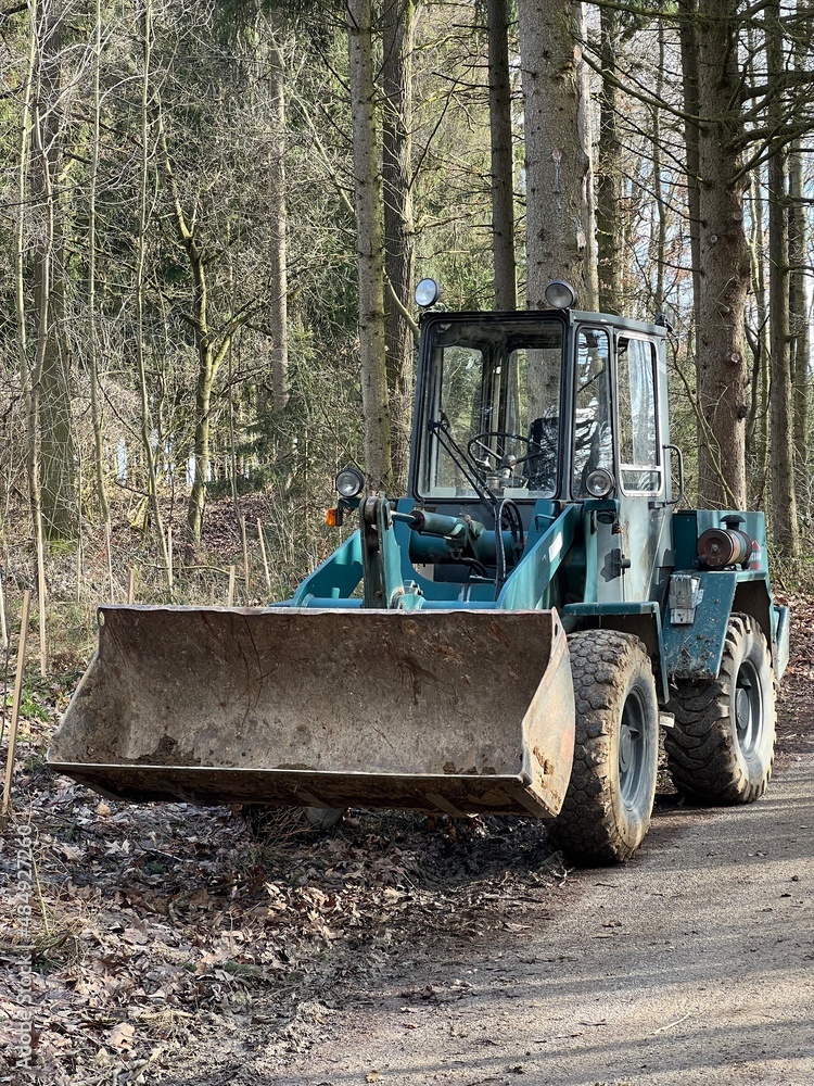 Fototapeta premium Forstwirtschaft, Waldarbeiter, Holzhandel, Holzwirtschaft, Aufforstung, Mischwald, natürlicher Wald, Bagger im Wald