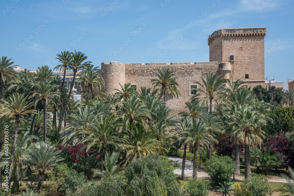 Palmeral de Elche y Palacio de Altamira, en la provincia de Alicante, España