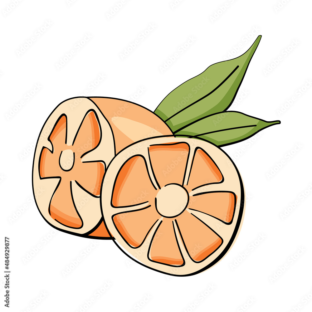 Juicy orange fruit with slices and green leaf. Graphic Print for Product Packaging related to Perfumery, Soaps, Cosmetics, Herbal Medicine, Aromatherapy Essential Oils. Isolated on white background Juicy orange fruit with slices and green leaf. Graphic Print for Product Packaging related to Perfumery, Soaps, Cosmetics, Herbal Medicine, Aromatherapy Essential Oils. Isolated on white background