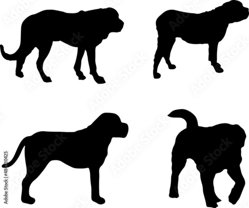 Alpine Mastiff Dog Silhouette Vector Pack