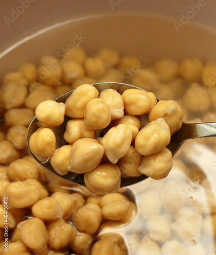 raw chickpeas pre-soaked for cooking, chickpeas soaked in water and swollen, close-up raw chickpea grains,