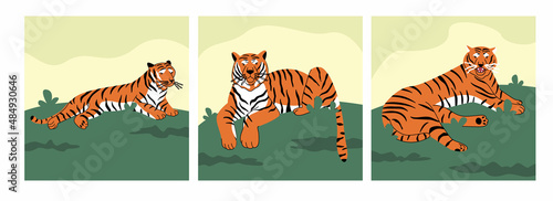Set of striped Amur tigers lying on the grass. Color vector illustration of a predatory feline animal. The wild cat is resting in nature. Hand-drawn clipart on a white isolated background.
