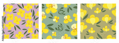 Set seamless pattern rapeseed flowers on a colored isolated background. Yellow canola hand-drawn bright plants. Blooming design elements for postcards, banners. Vector illustration.
