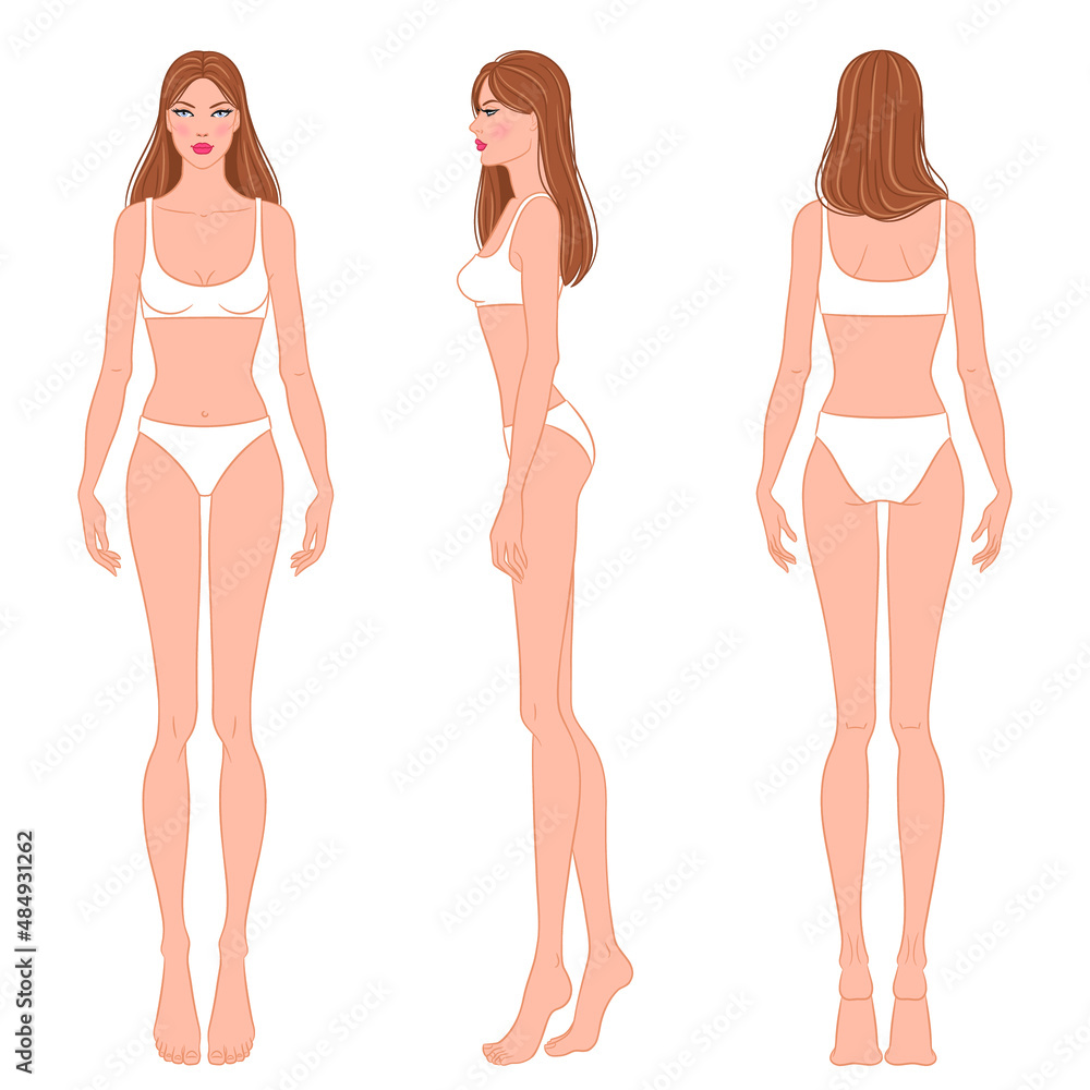 Female body, front, side, and back views. Female fashion figure template. Beautiful, slim woman wearing lingerie, isolated on white background. Fashion model in a bikini, vector illustration. Female body, front, side, and back views. Female fashion figure template. Beautiful, slim woman wearing lingerie, isolated on white background. Fashion model in a bikini, vector illustration.