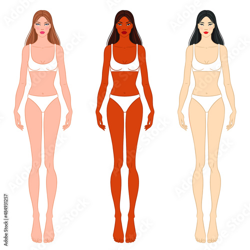Female fashion figure templates of different races: European, African, and Asian.  Beautiful women wearing lingerie, isolated on white background. Fashion models in bikini, vector illustration.