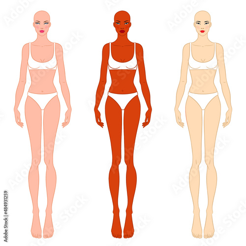 Female fashion figure templates of different races: European, African, and Asian.  Beautiful women wearing lingerie, isolated on white background. Fashion models in bikini, vector illustration.