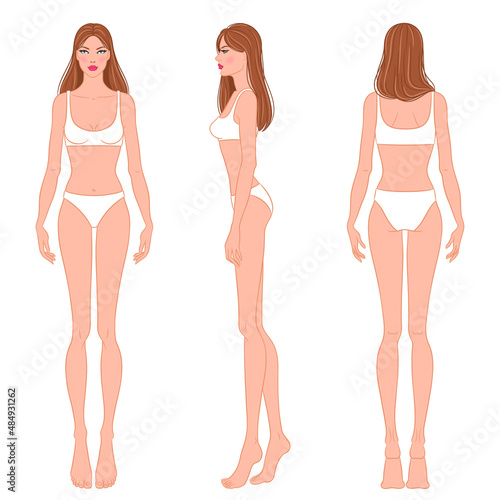 Female body, front, side, and back views. Female fashion figure template. Beautiful, slim woman wearing lingerie, isolated on white background. Fashion model in a bikini, vector illustration.