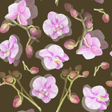 Watercolor seamless pattern with pink orchid. 