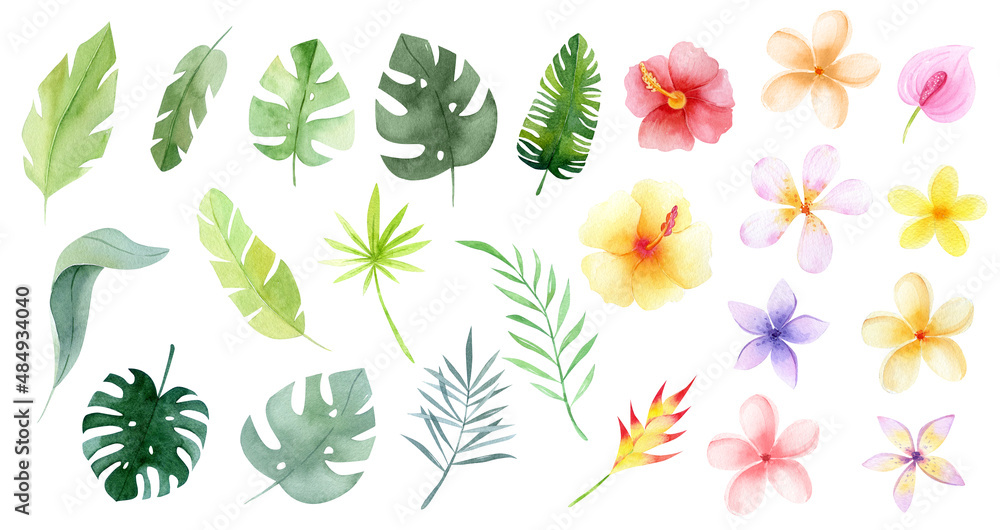 Watercolor Tropical flowers and leaves. Jungle flowers. Safari exotic greenery cute childish baby shower illustration. Floral summer isolated. Monstera banana leaves - obrazy, fototapety, plakaty 