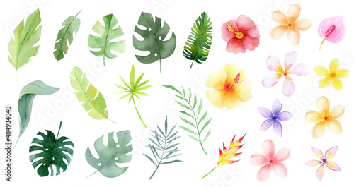 Watercolor Tropical flowers and leaves. Jungle flowers. Safari exotic greenery cute childish baby shower illustration. Floral summer isolated. Monstera banana leaves