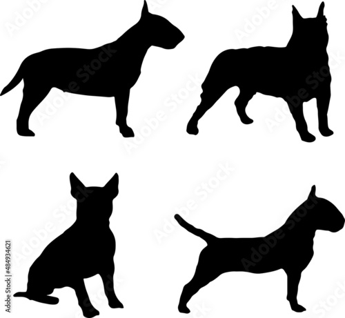 Print op canvas Bull Terrier Dog Silhouette Vector Pack