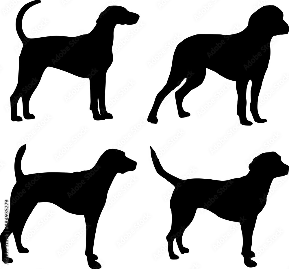 American Foxhound Dog Silhouette Vector Pack